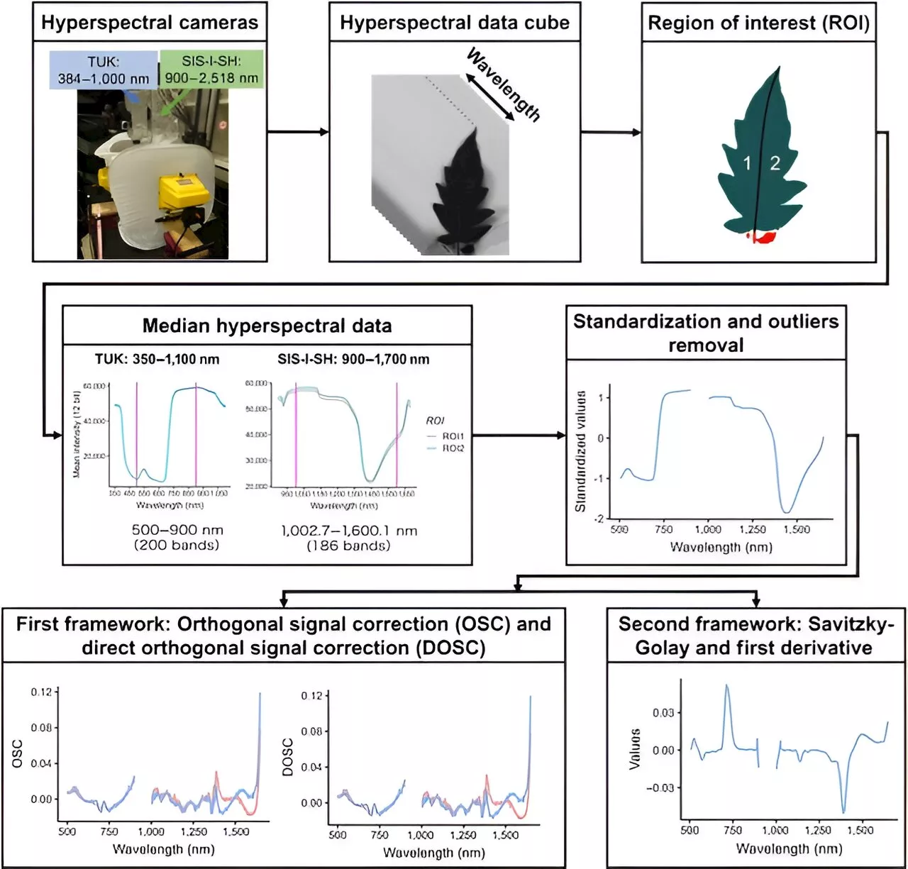 Enhancing crop nutritional analysis: Precision agriculture with multi-target regression and hyperspectral imaging