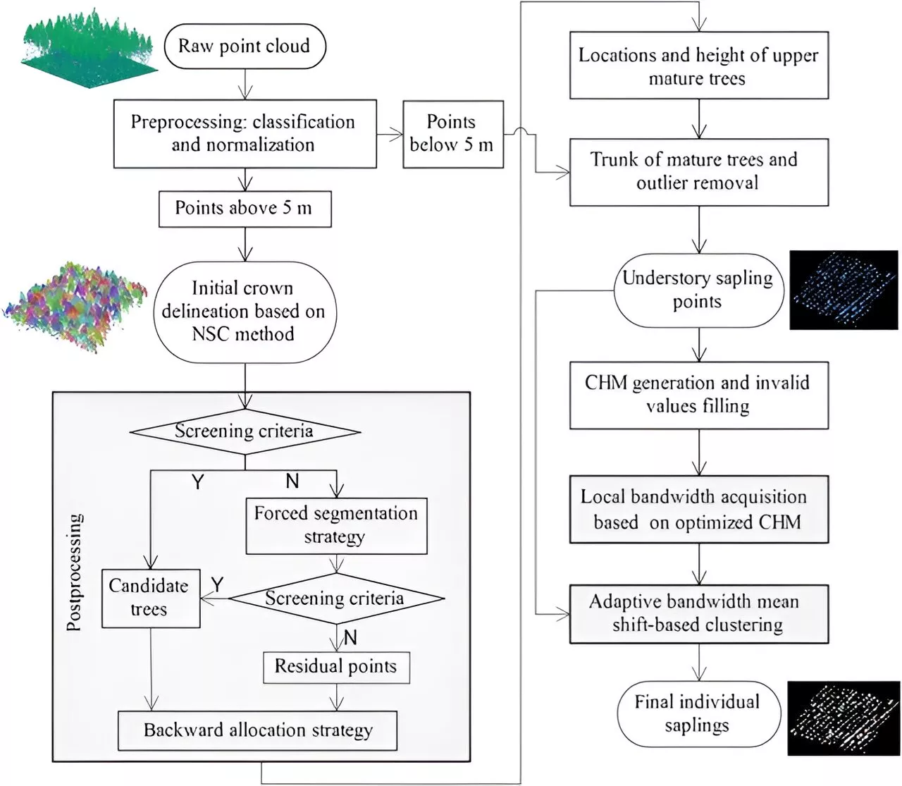 Forest management research: Unveiling understory saplings with advanced airborne LiDAR technology