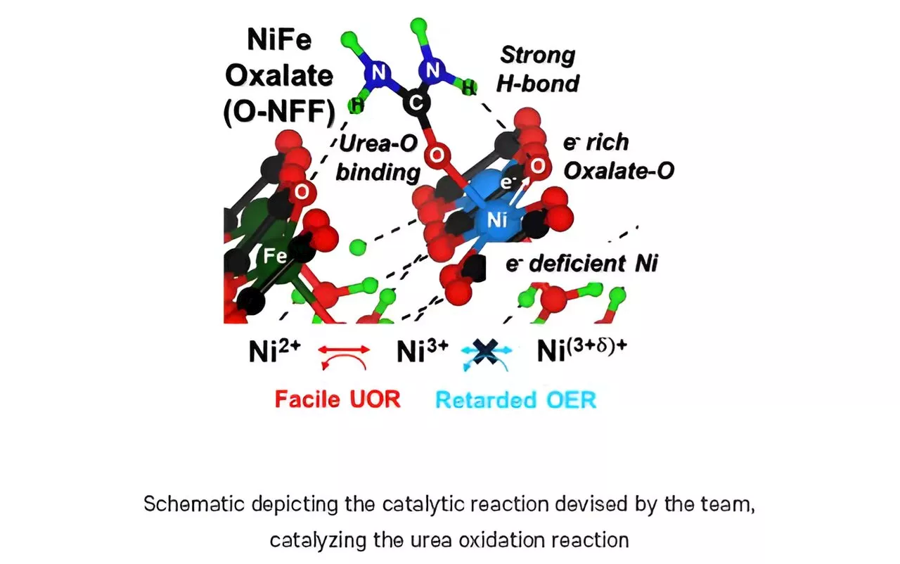 Research team develops catalyst that can purify municipal sewage while enhancing hydrogen generation efficiency