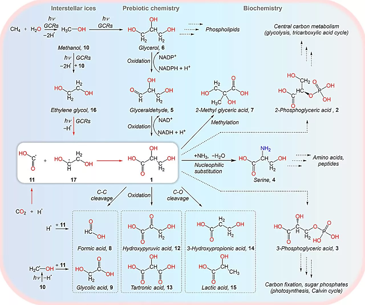 Unraveling the origins of life: Scientists discover 'cool' sugar acid formation in space