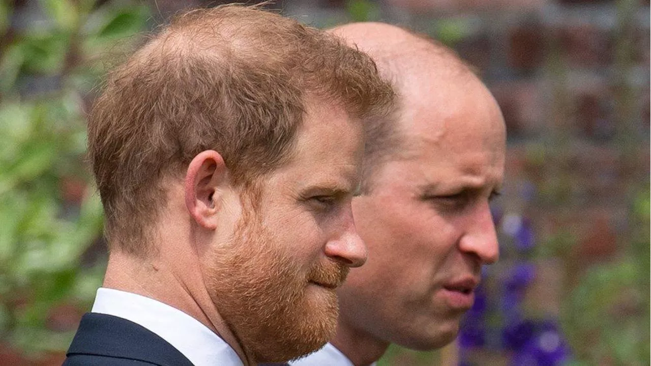 William und Harry: Neuer Auftritt zeigt den tiefen Riss zwischen ihnen