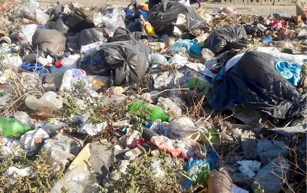 Dumpsite makes Chatsworth residents' lives a misery - SABC News - Breaking news, special reports,