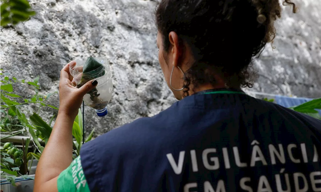 Prefeitura de São Paulo vai investir R$ 240 milhões em ações de combate à dengue