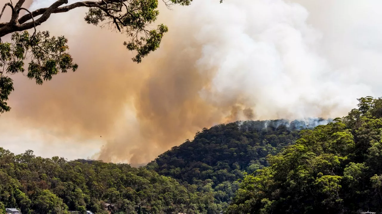 Sydney Covered in Smoky Haze as Firefighters Conduct Backburning Operations