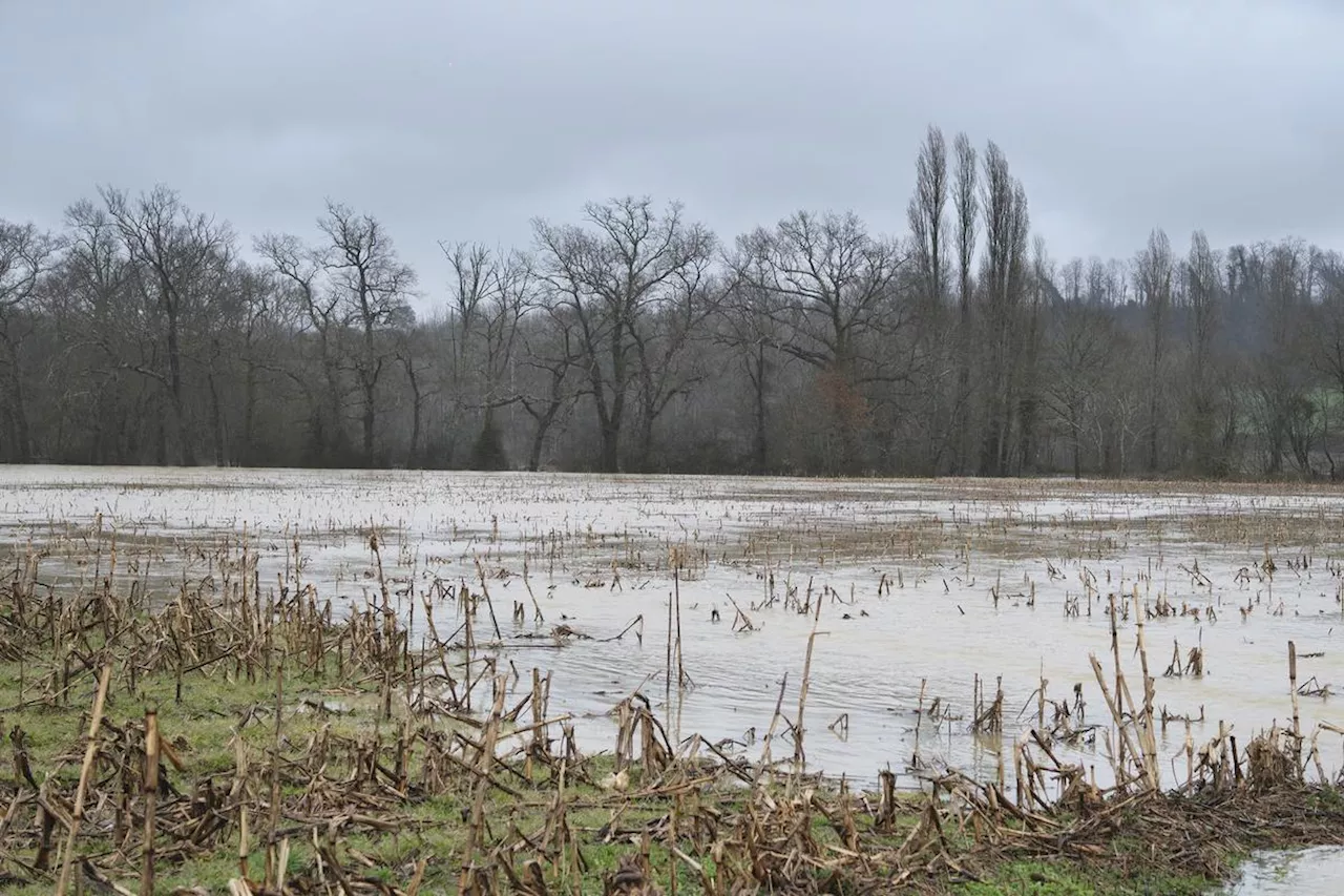 Nouvelle-Aquitaine : des nappes d’eau souterraines à leur point de débordement