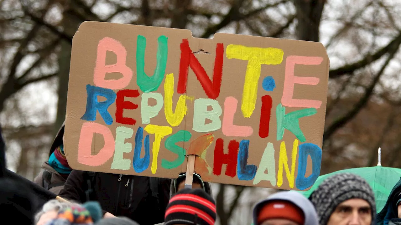 Wer sind die Demonstranten gegen Rechtsextremismus und die AfD?