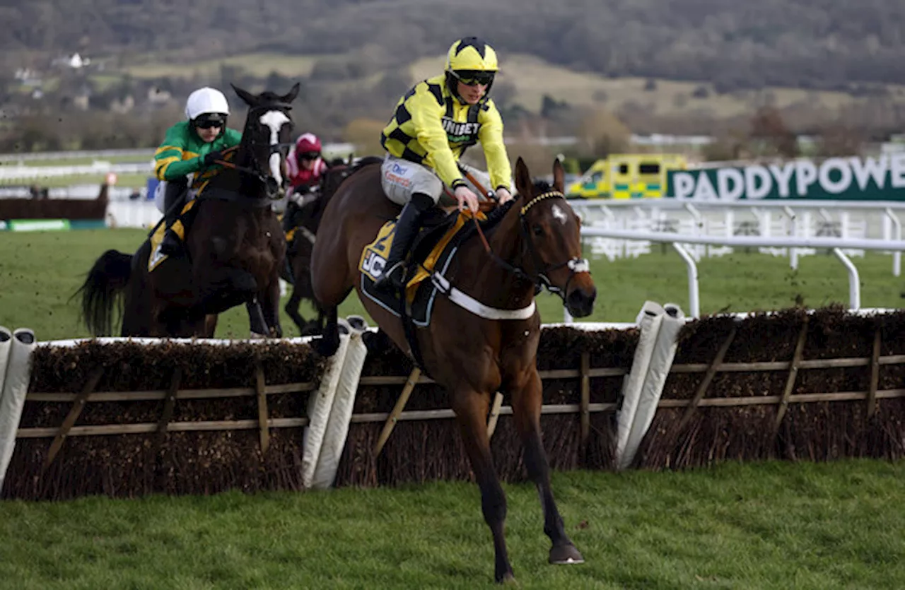 Triumph Hurdle favourite Sir Gino ruled out by Henderson