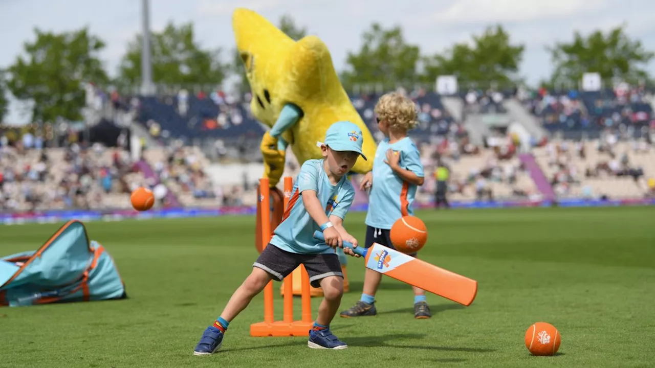 Kids in All Stars and Dynamos Cricket programmes warned of high phthalate levels in balls