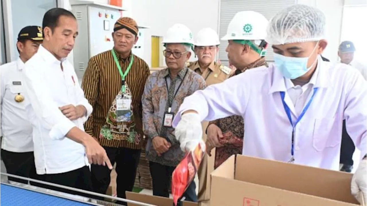 Resmikan Pabrik Minyak Makan Merah Pertama di Indonesia, Jokowi Tegaskan Bentuk Hilirisasi