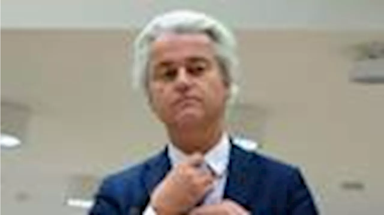 Rechtspopulist Wilders wird nicht Regierungschef