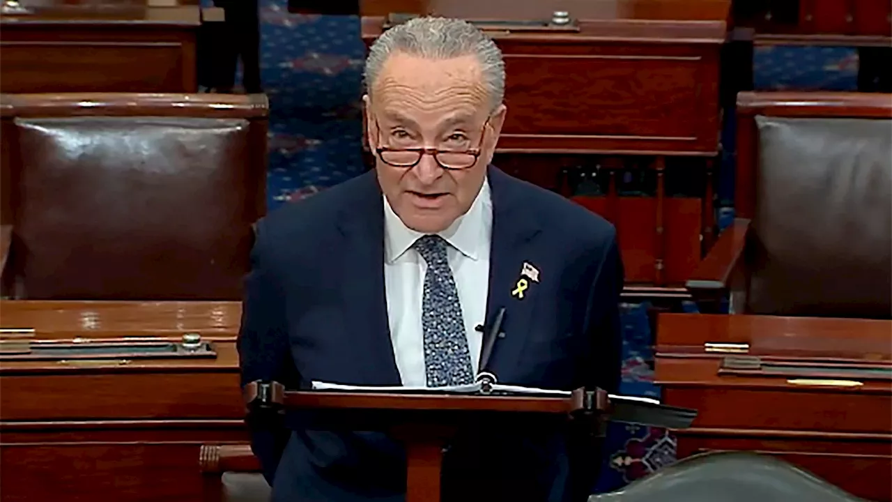 Schumer calls for new elections in Israel, warns Netanyahu has 'lost his way'