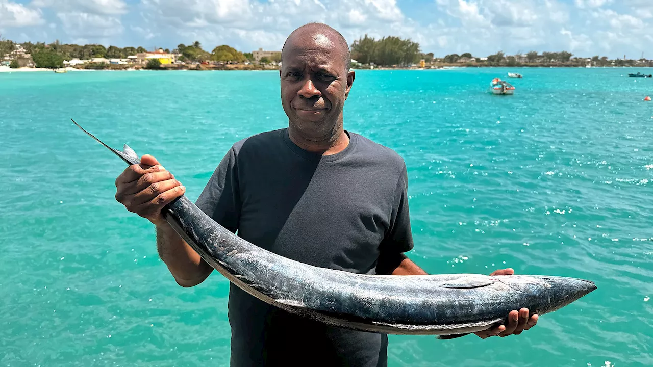 Clive Myrie's Caribbean Adventure: Exploring the Beauty of the Caribbean Islands