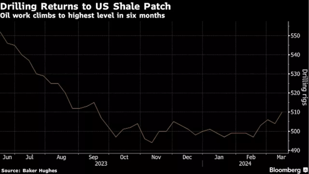 Shale Explorers Hike Oil Drilling In Threat to Growth Targets