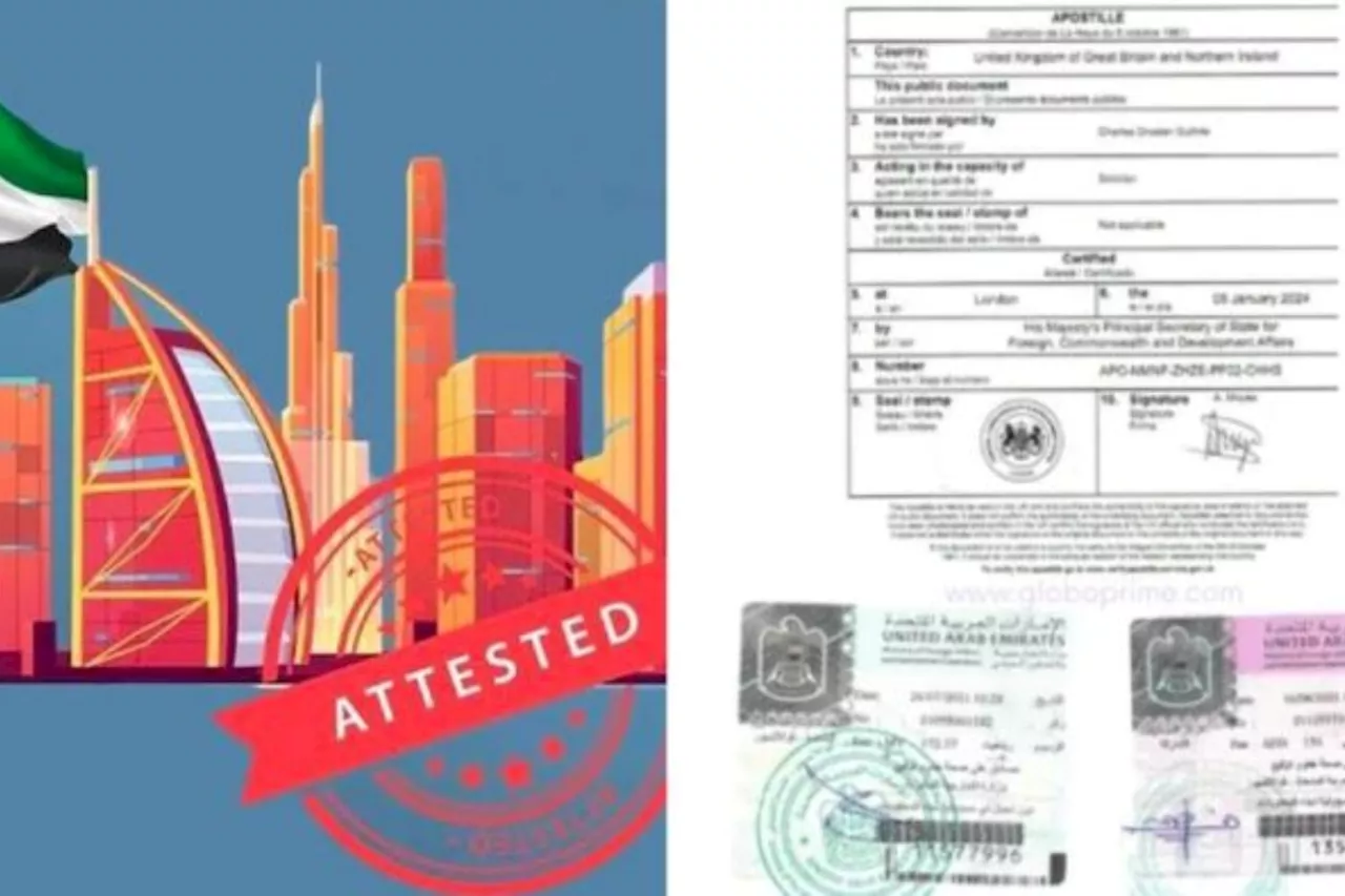 Everything You Need to Know Document Attestation Process in UAE Online