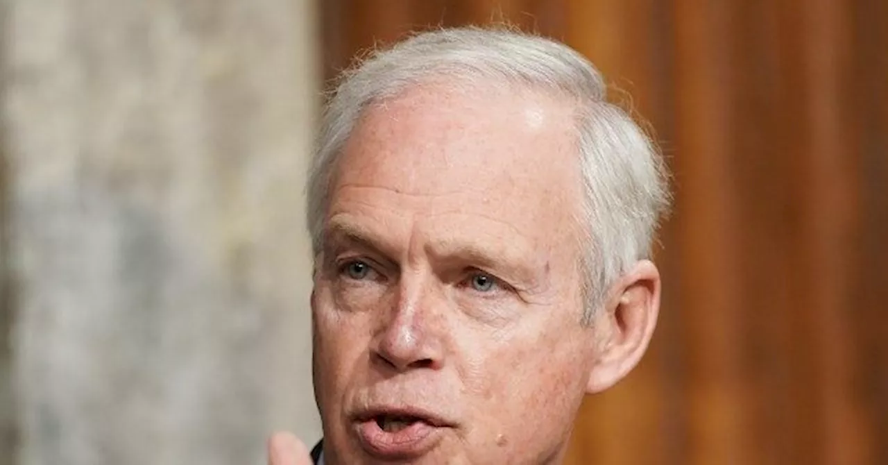 Sen. Ron Johnson: Democrats Are 'Destroying This Country'