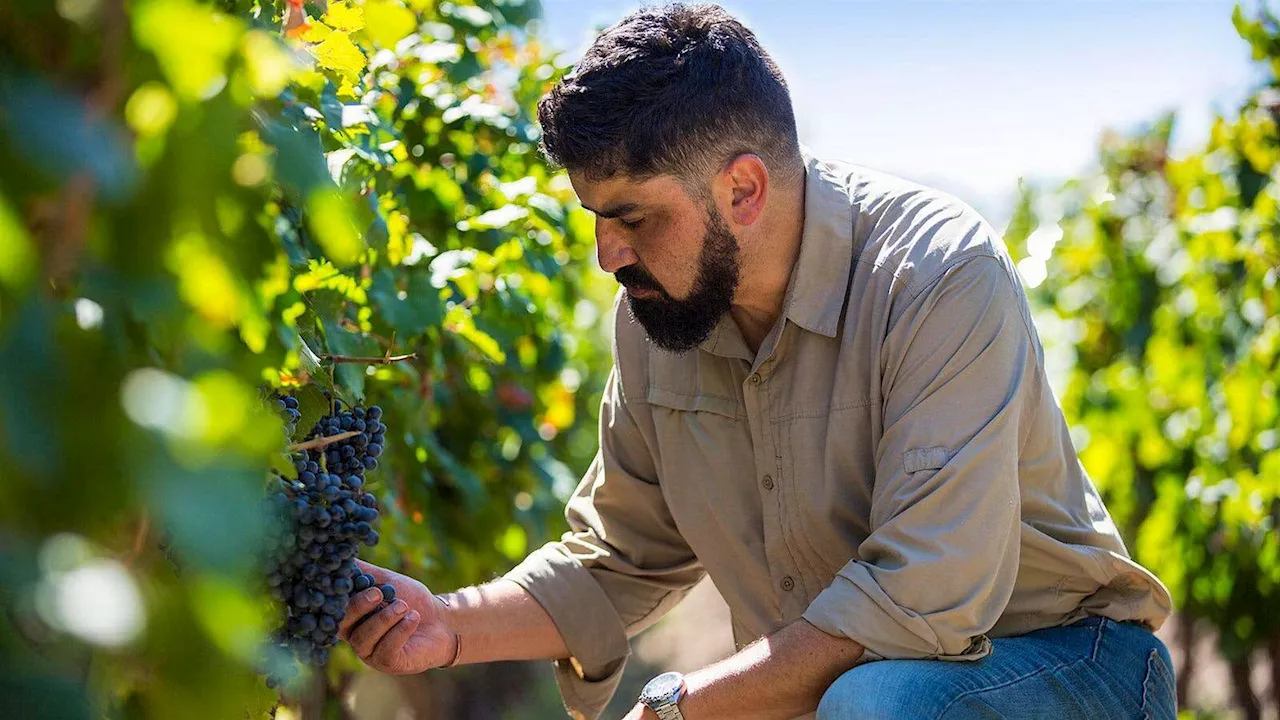 Mick O’Connell’s Four Corkers: Why Argentina is about more than malbec