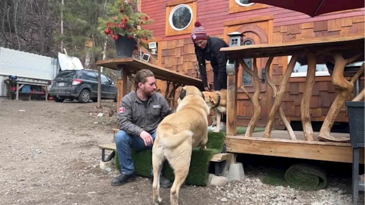 Okanagan couple faces fines, legal action over tiny home