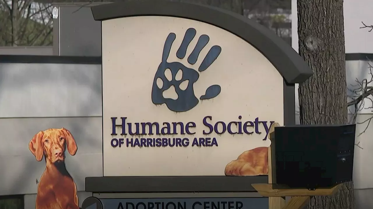 New initiatives at the Humane Society of Harrisburg to achieve 'No-Kill' status