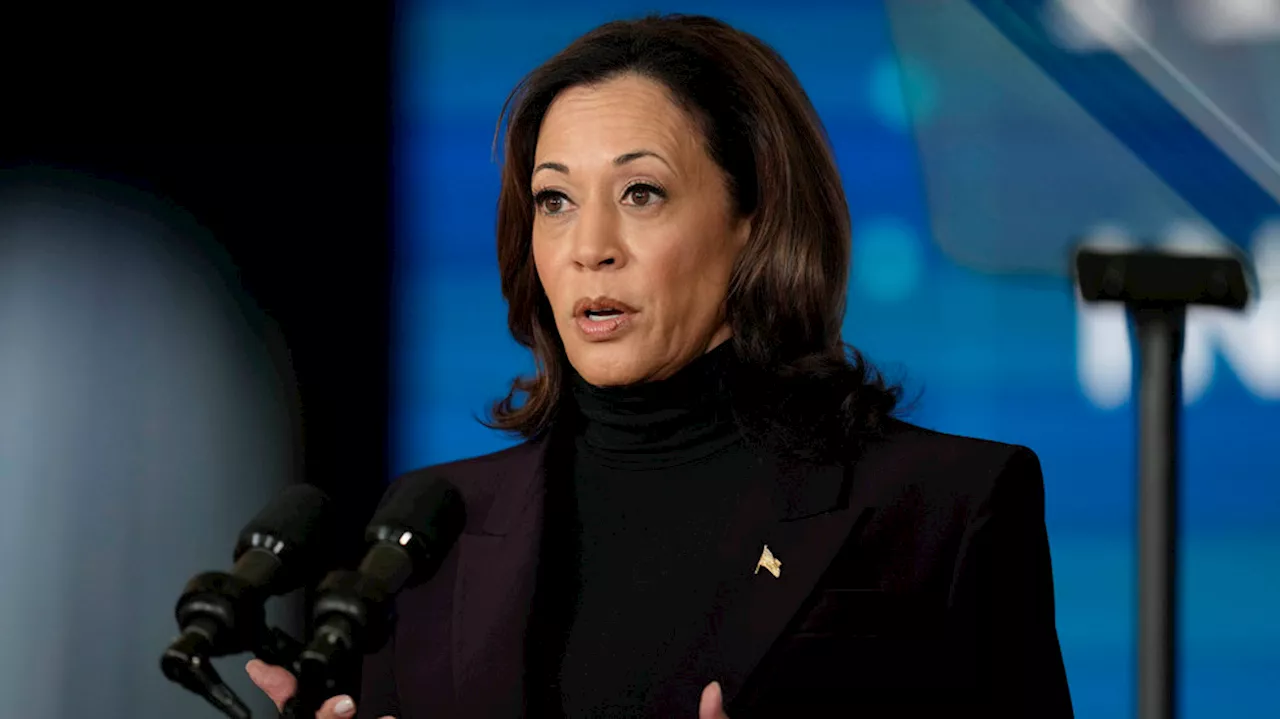 More than half of US voters disapprove of VP Harris, poll shows: 'Court jester Kamala'