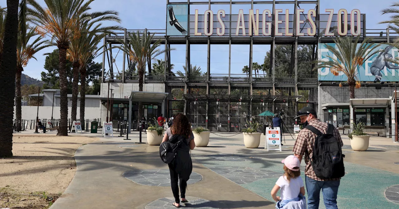 Los Angeles Zoo closed due to high winds on Thursday