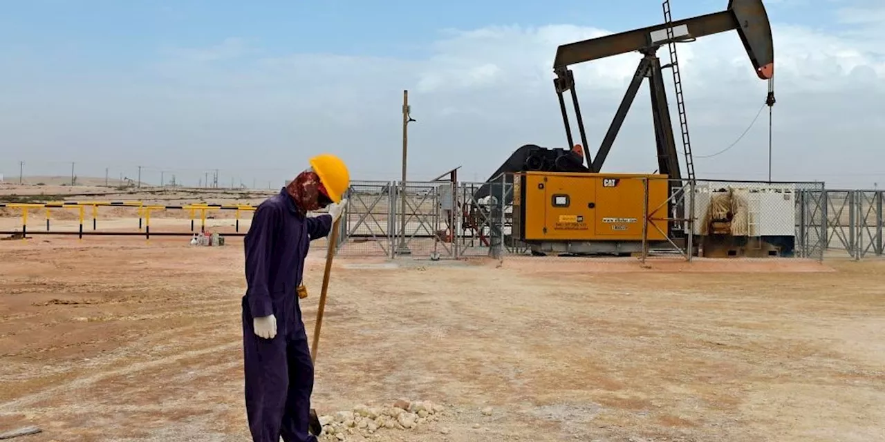 Fury Over $500 Million US Export-Import Bank Loan to Bahrain 'Climate Bomb'