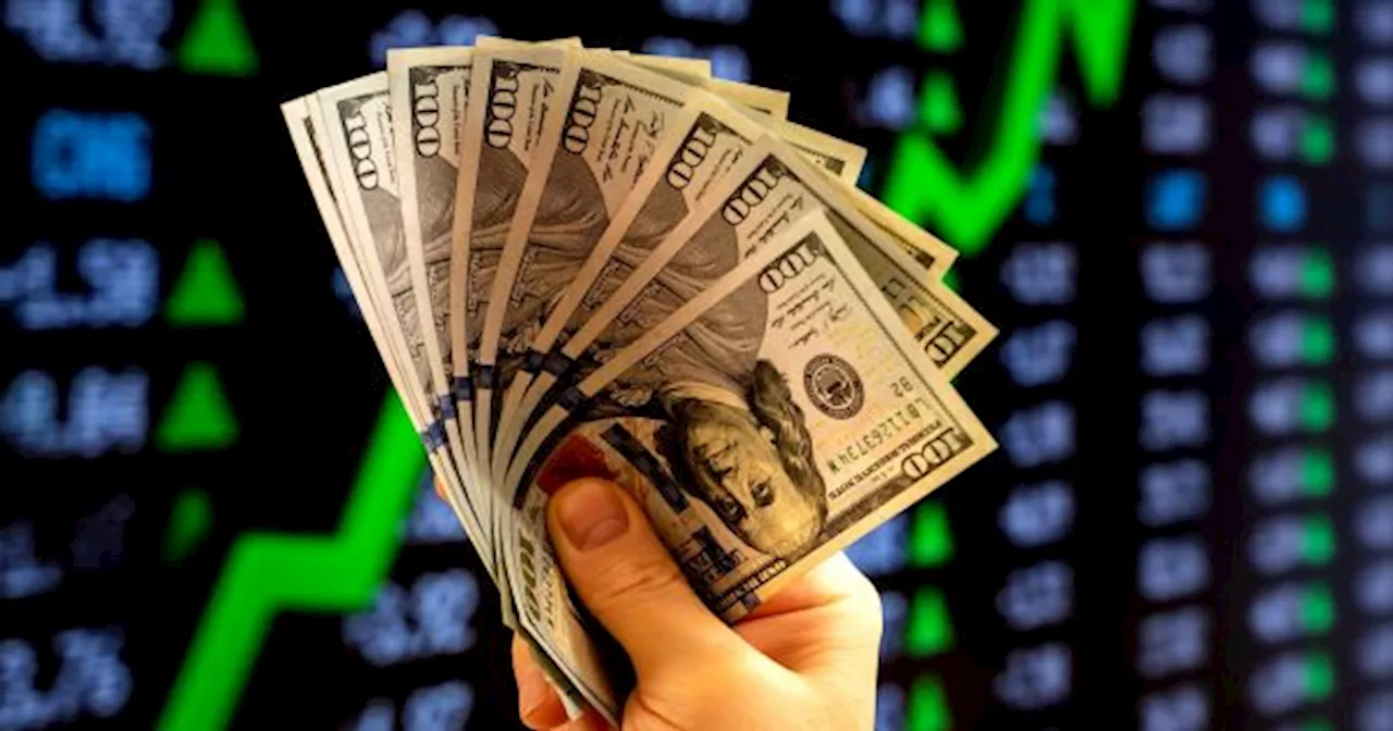 'EXCELENTE INVERSIÓN': las recomendaciones del GURÚ DEL DÓLAR BLUE para ganar en el 2024
