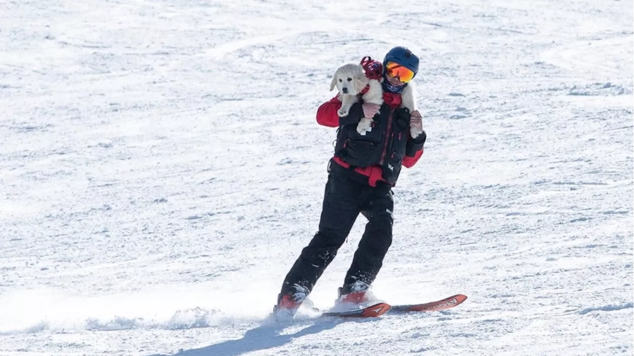 Adorable addition to southern Alberta ski resort