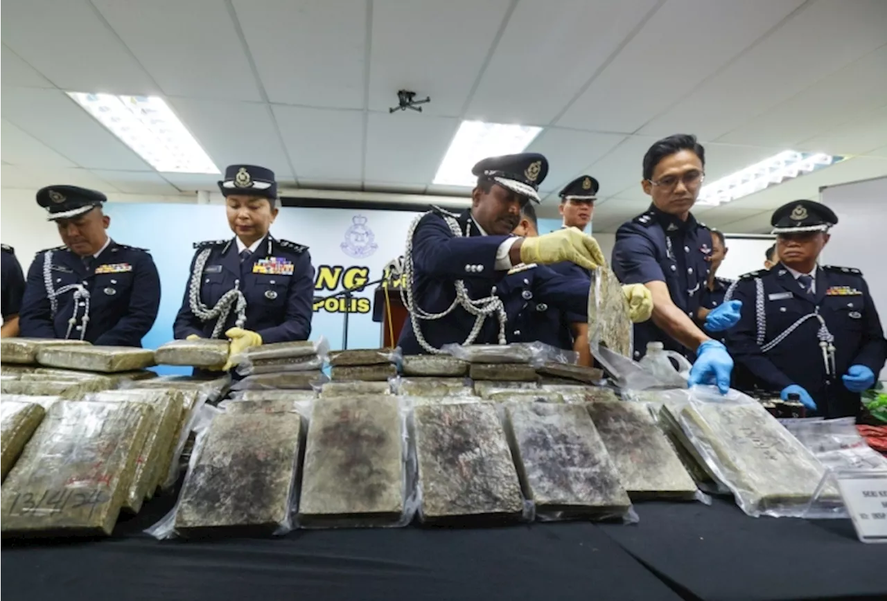 Selangor police nab six individuals including two Thai couples, seize over 90kg of ganja