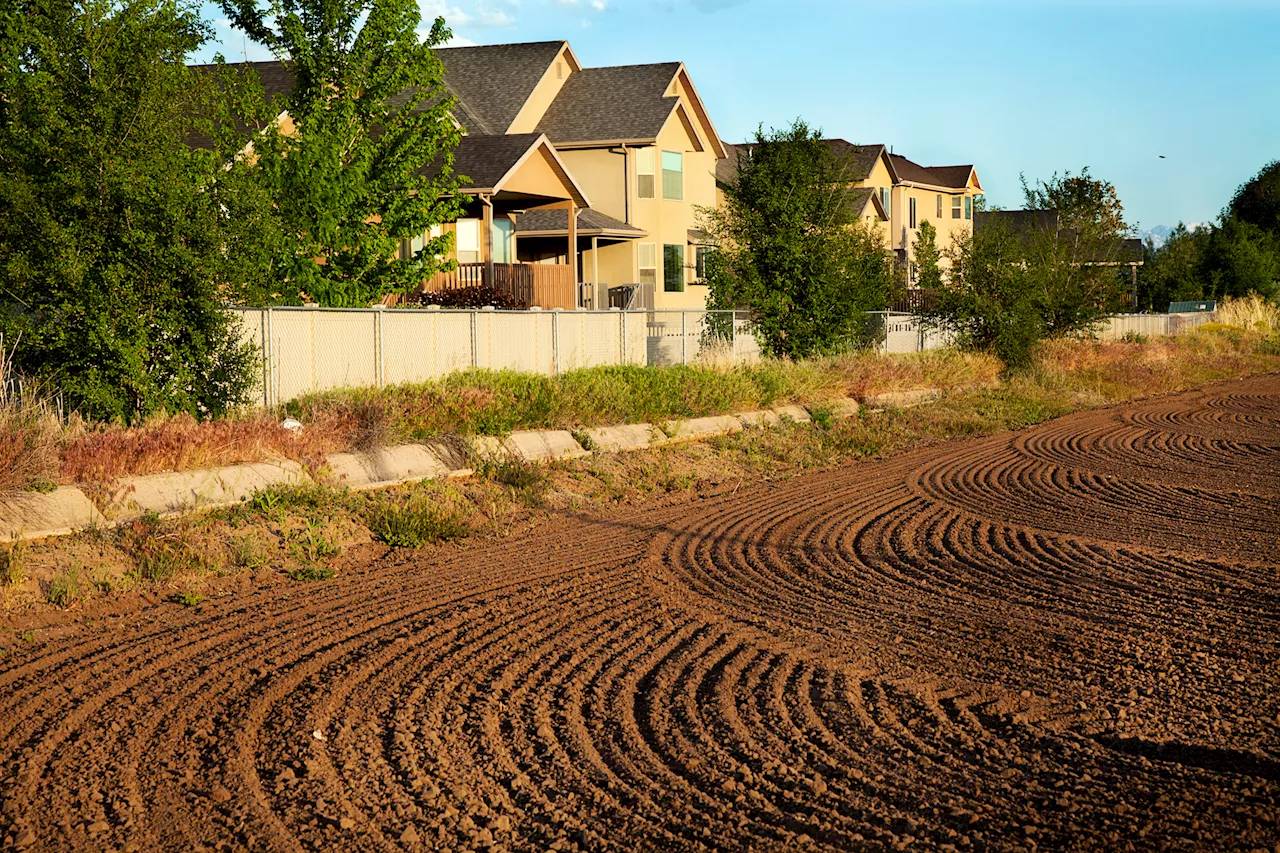 Not even the Fed can counter a decade of bad zoning law distorting the housing market