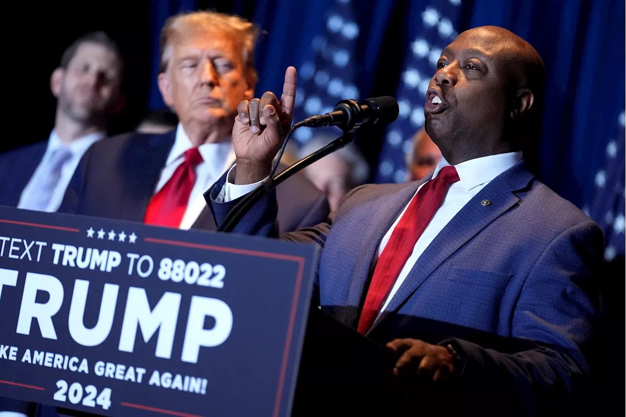 Tim Scott ‘1,000%’ guarantees Trump success with minority voters