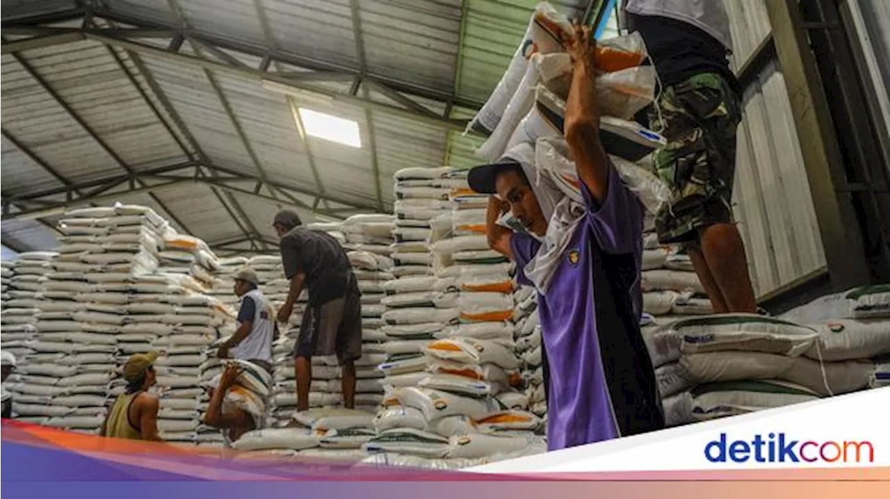 Ombudsman Minta Bulog Percepat Bongkar Muat Beras: Harus Investasi Teknologi