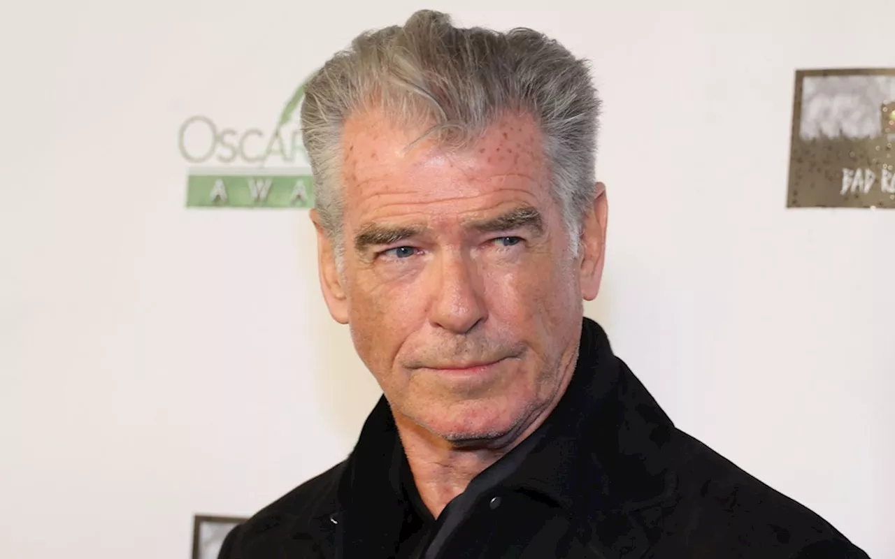 Pierce Brosnan bekennt sich vor Gericht schuldig: „Fehler gemacht“