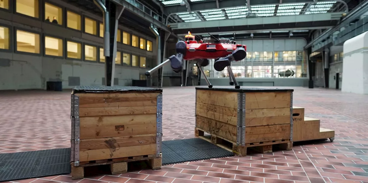 Anymal visar upp lite nya färdigheter. Robothund kör lite parkour.