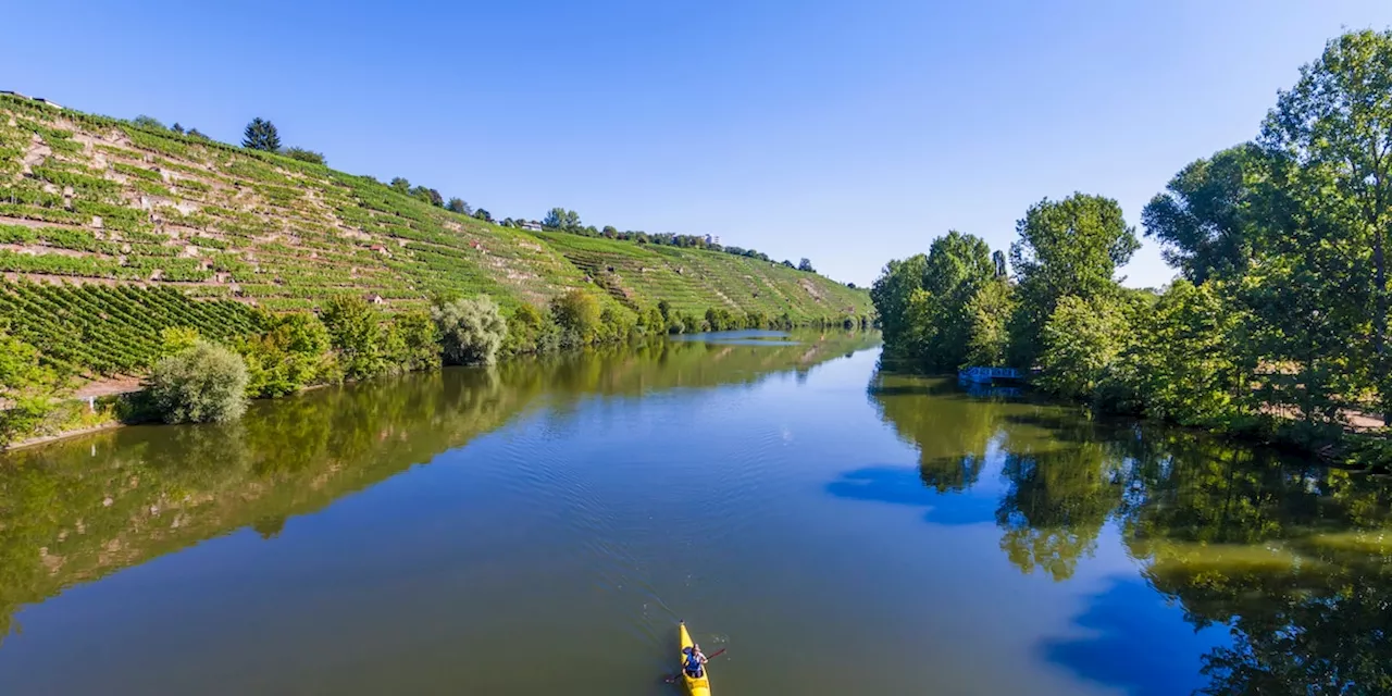 Wie ein vom Klimawandel geplagter Fluss mehr Sauerstoff bekommt