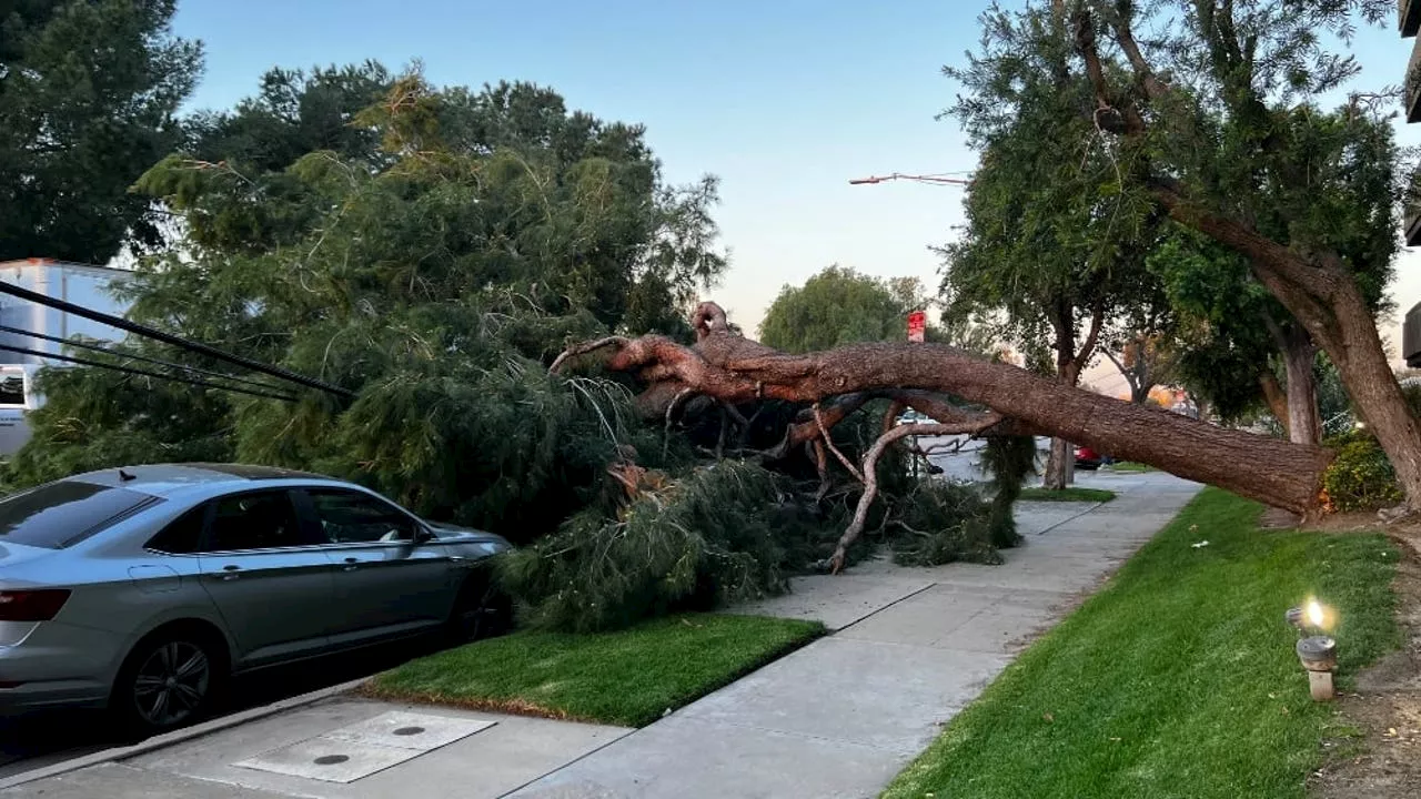 Hurricane-force Santa Ana winds hit Southern California