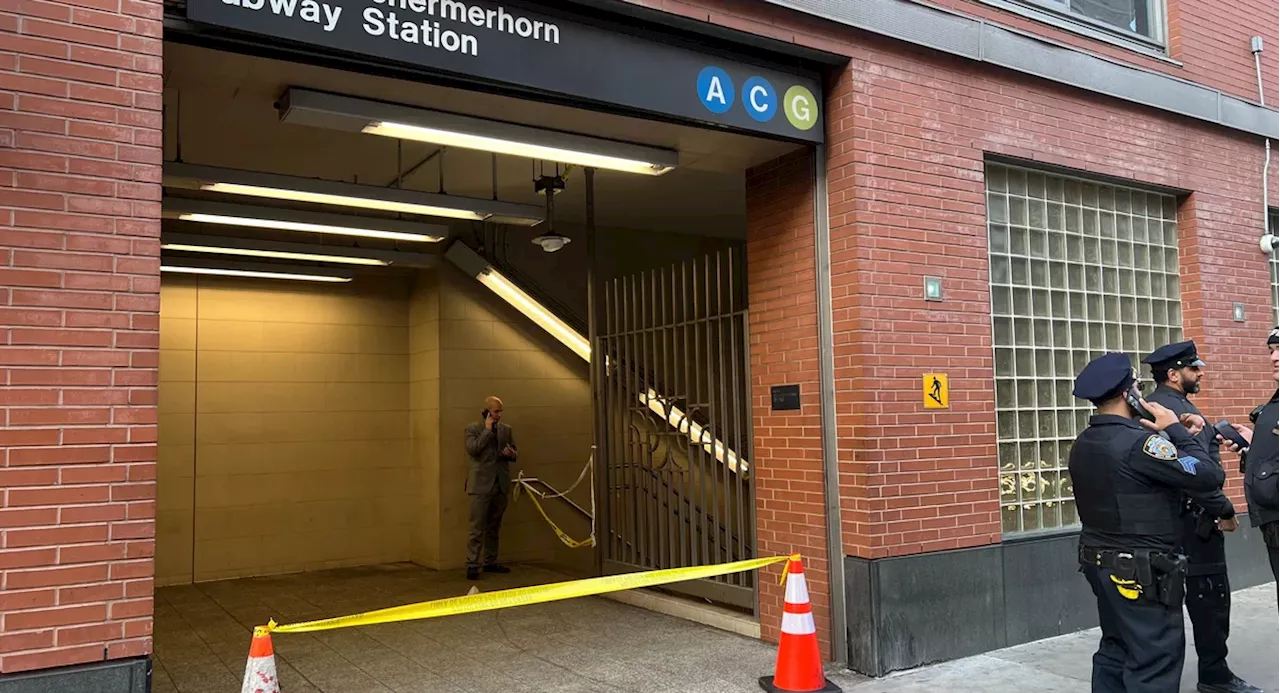 NYPD: Man in critical but stable condition after Brooklyn subway shooting