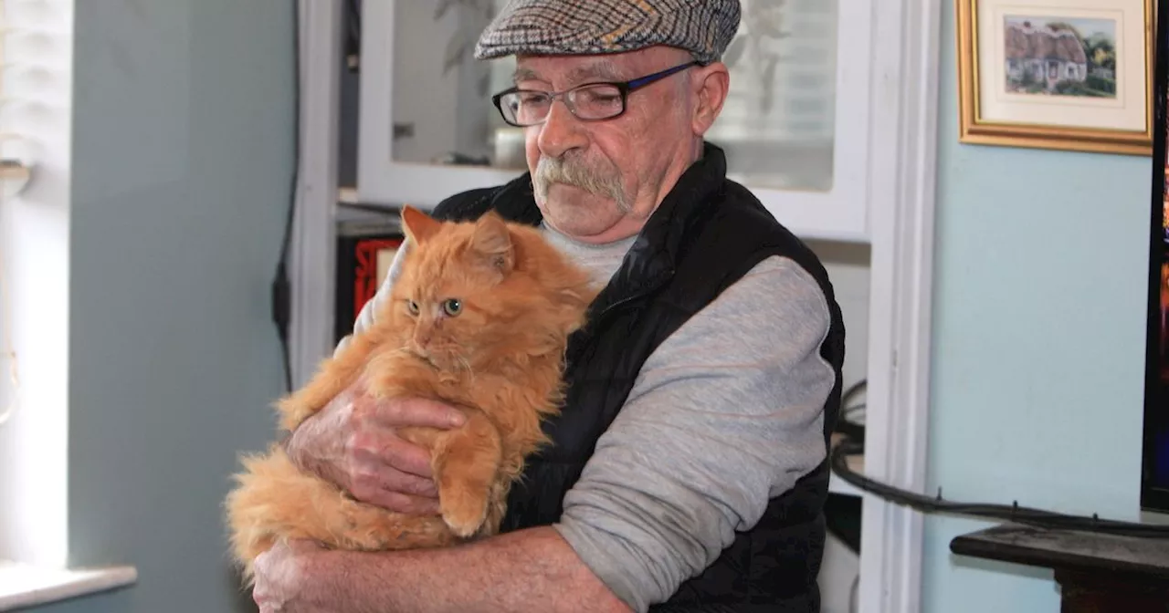 Cat loving couple reunited with missing moggy Paddy Garfield after nine years