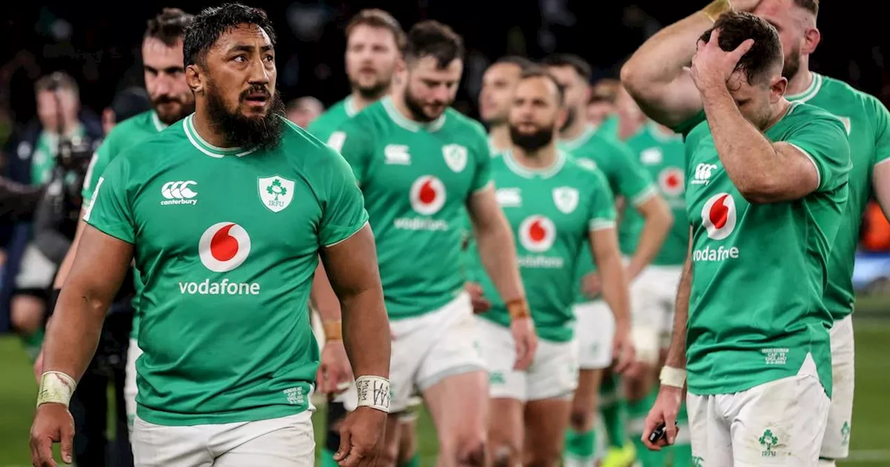 Matt Williams: Those calling Ireland losers have both life and rugby well out of perspective