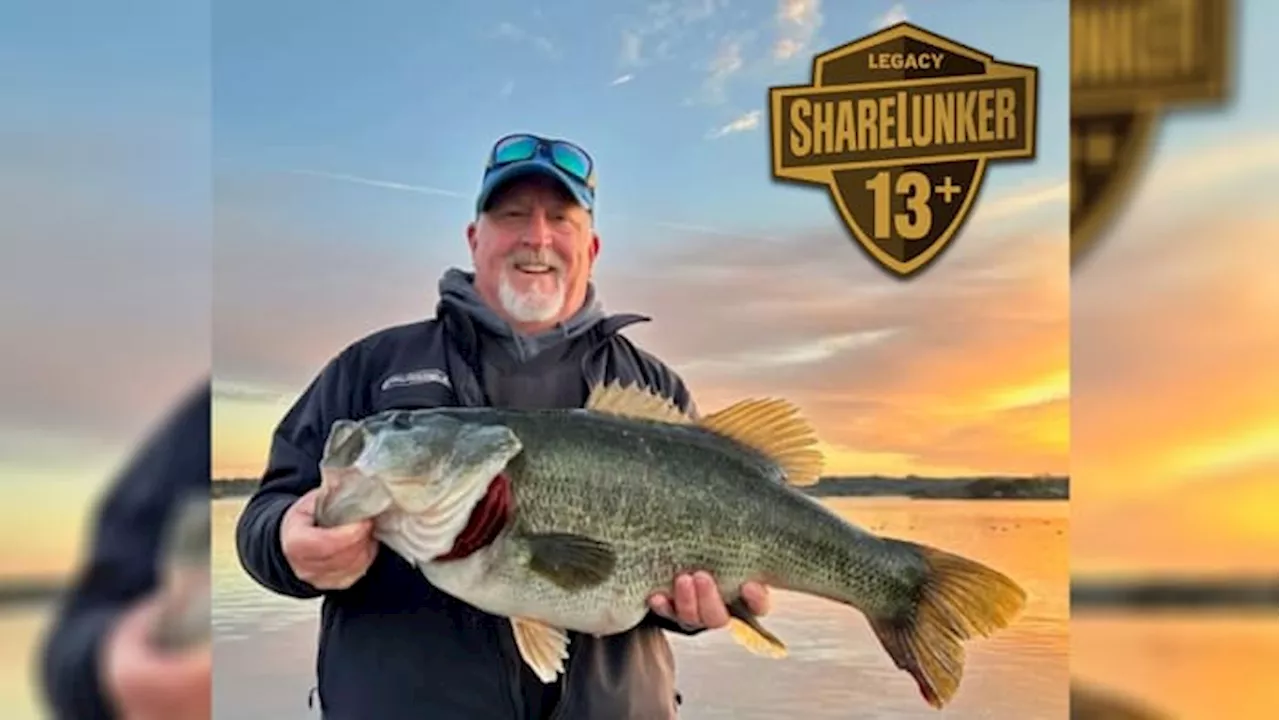 13.40-pound largemouth bass caught at Inks Lake in Hill Country breaks waterbody record