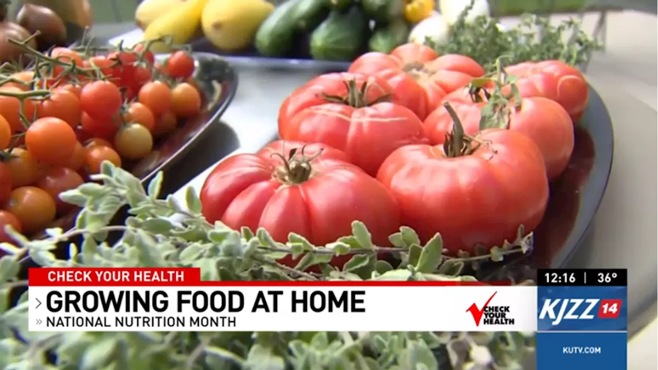 Check Your Health- Grow Food at Home During National Nutrition Month