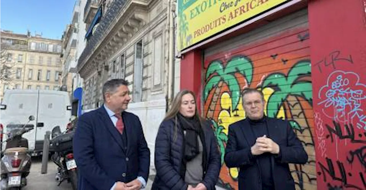 Marseille : Levée de boucliers contre le carnaval de la Plaine