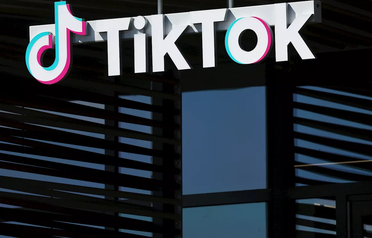 Banning TikTok Will Actively Hurt Small Businesses