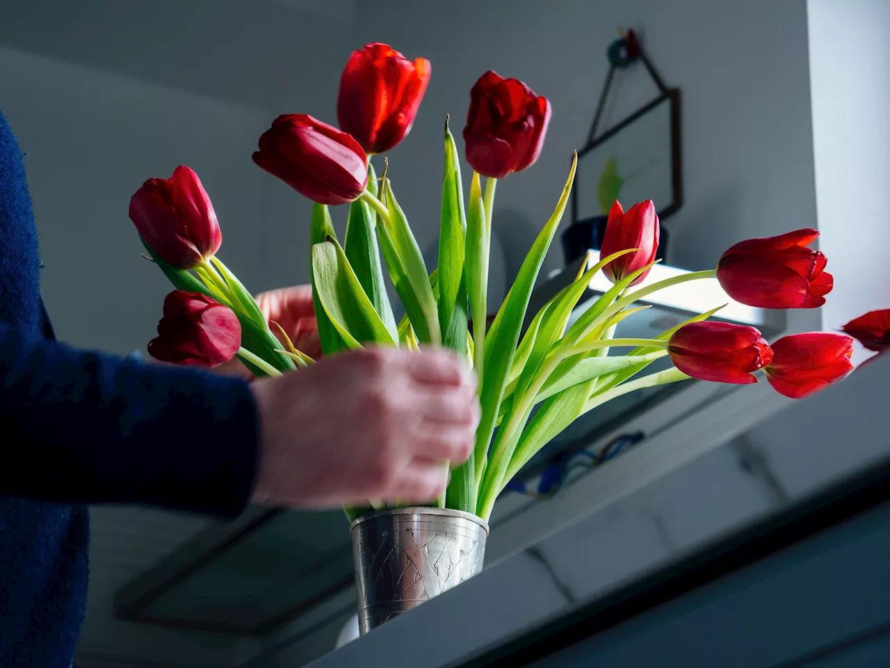 Woman Hyping Up 'Dramatic' Flowers Has Internet in Stitches