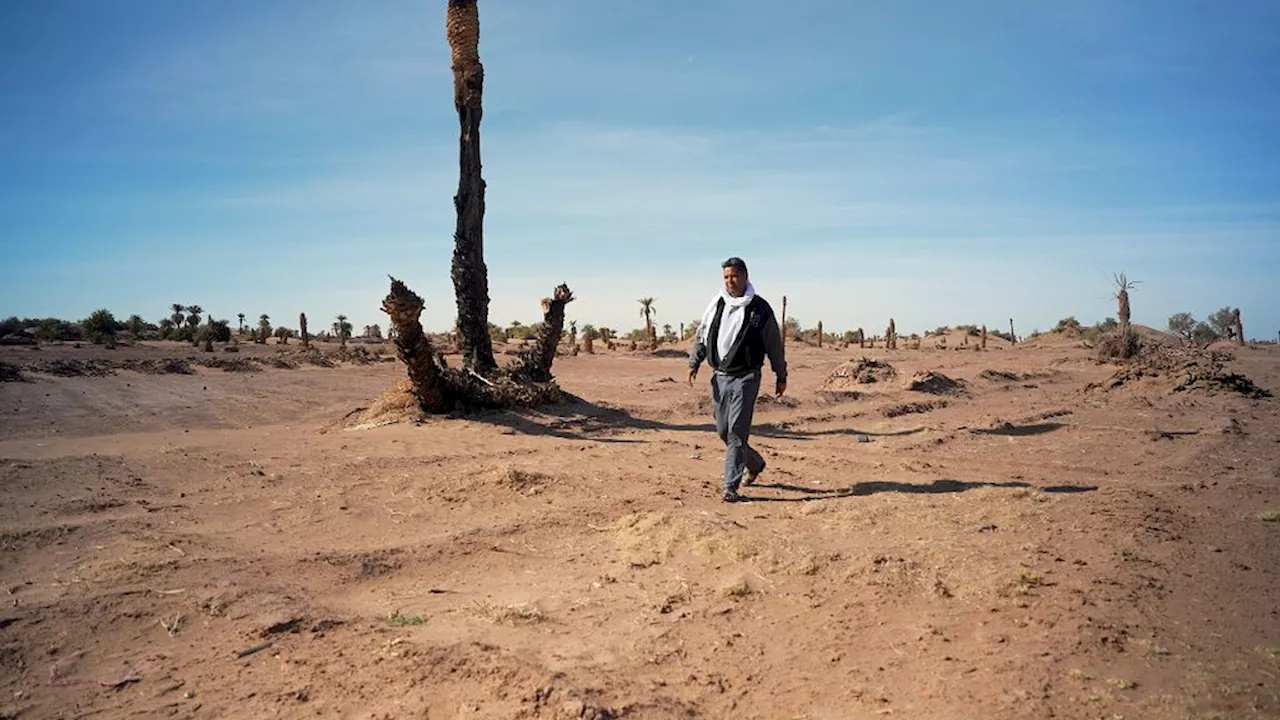 Eeuwenoude oases Marokko dreigen te verdwijnen door klimaatverandering