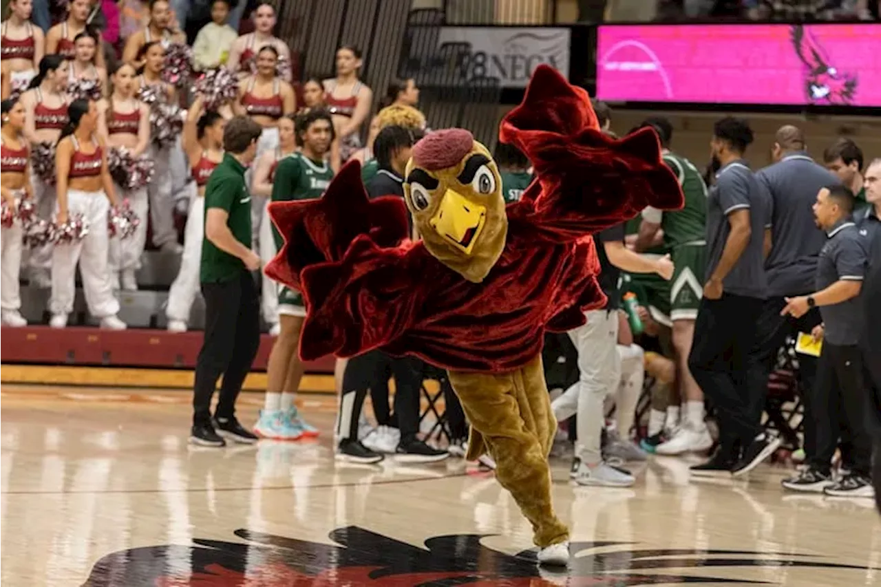 Two Students Keep St. Joe's Mascot, The Hawk, Alive