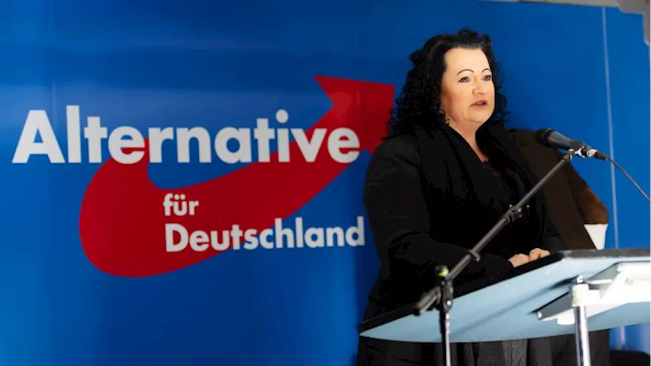 AfD Brandenburg wählt neue Parteispitze