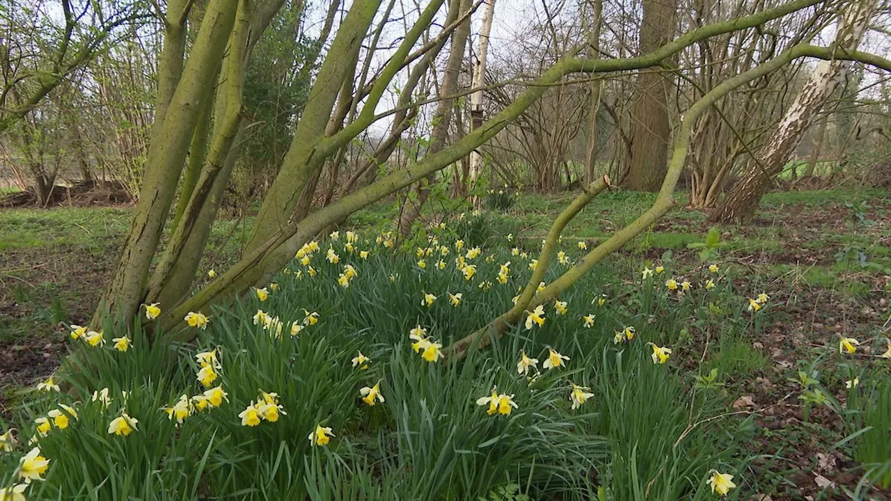 Natuurvriendelijk erf als 'stepping stone' voor natuurgebieden