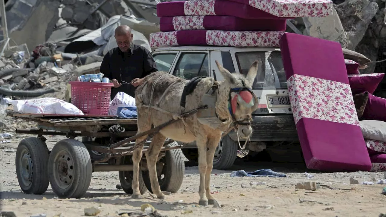 Work continues on maritime aid corridor to Gaza as famine looms