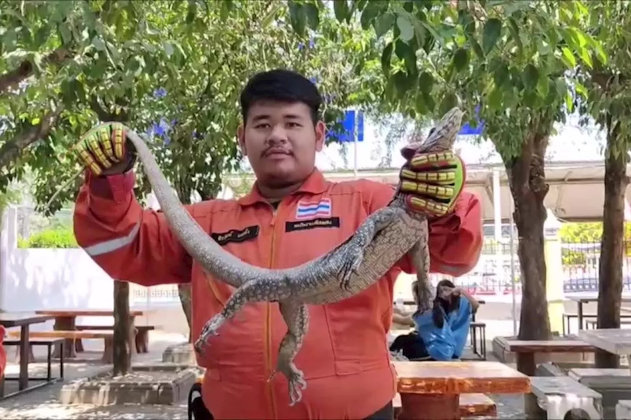 อุดรธานี ตัวเงินตัวทองบุกโรงเรียนหญิงล้วนกลางเมืองอุดรไม่พลาดส่องเลขเด็ดใต้ท้อง