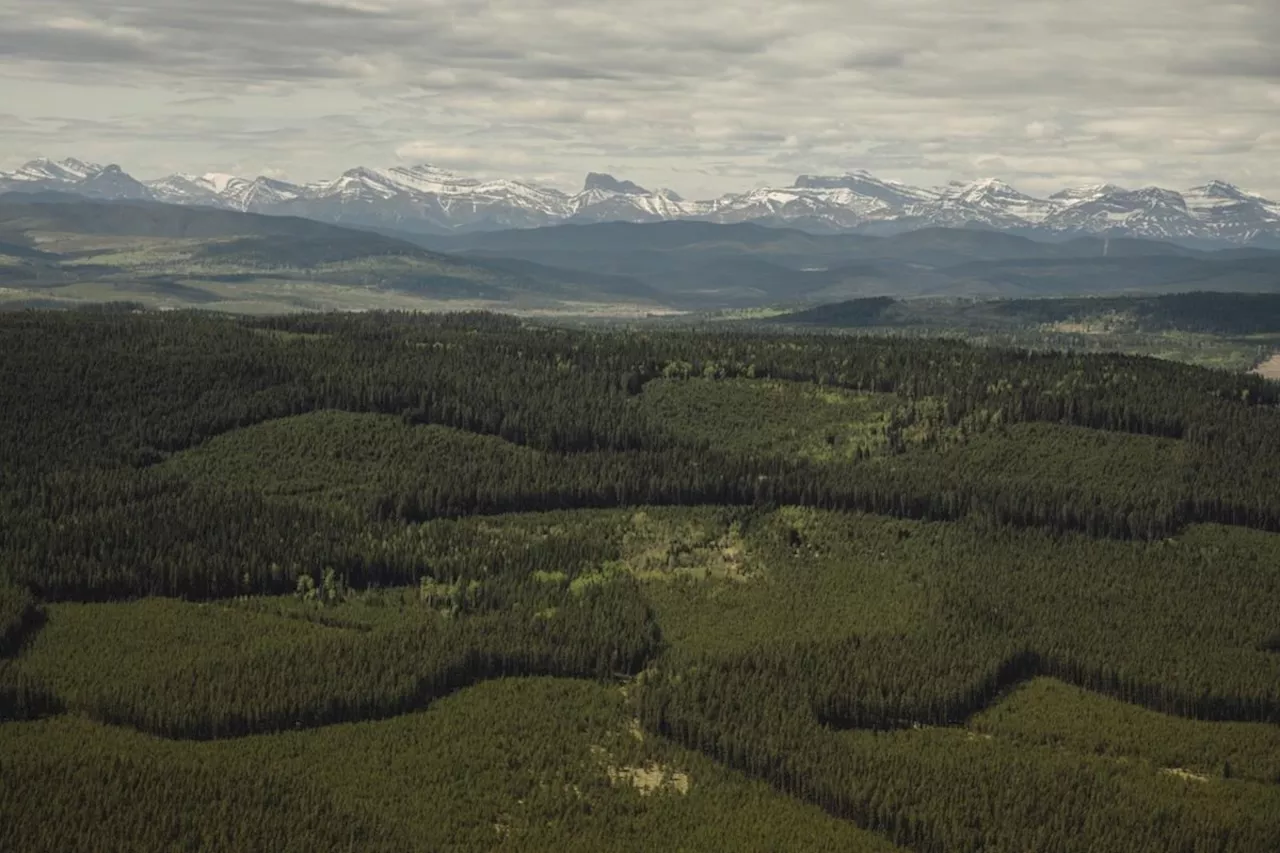 Alberta government releases no-go zone map for renewable power projects